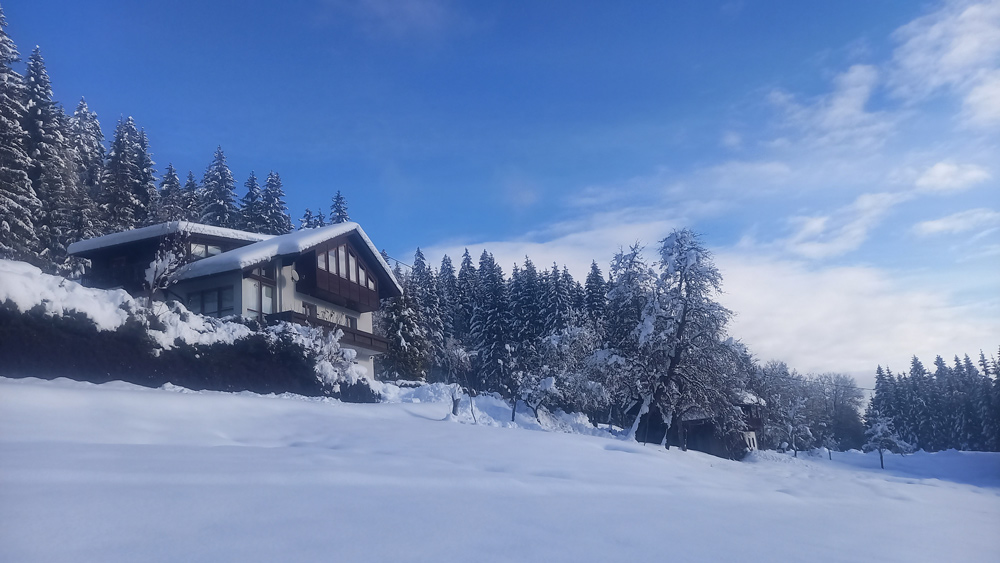 Ferienhaus Waldhof im Winter