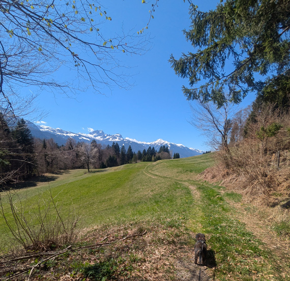 Wanderweg Waldhof Bergl